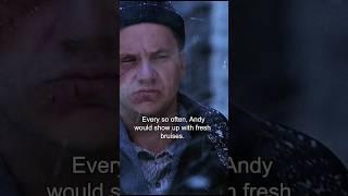 Andy s prison life