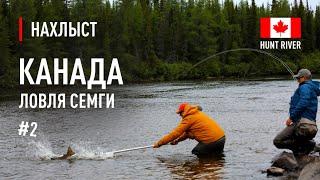 Ловля СЕМГИ в КАНАДЕ река Hunt River. Снасть для ловли, поиск лосося, ловля на сухую мушку.