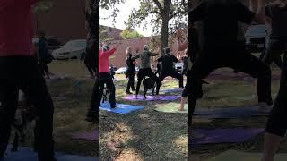 Wisdom Ways had Goat Yoga!