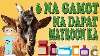 6 MUST-HAVE MEDICINES FOR GOAT FARMING