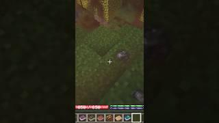 Let’s go into the world of dragons  #music #minecraft #minecraftdragons