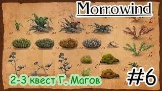 Прохождение Morrowind - 2е и 3е задания гильдии магов #6