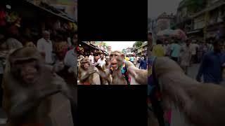 Puri Jagannath Mandir #vlog Jay Jagannath 