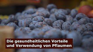 Die gesundheitlichen Vorteile und Verwendung von Pflaumen