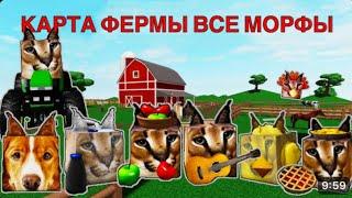 Все флоппы на  карте фермы в игре (Find the morphs floppa (855) в Roblox!