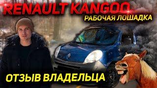 РЕАЛЬНЫЙ ОТЗЫВ ВЛАДЕЛЬЦА RENAULT KANGOO 2 грузовой 2011 г. 1.5 dci Рено Кенго Кенгу дизель обзор