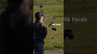Backyard Archery… #elkshape