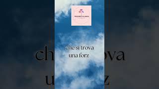 Scopri la Tua Vera Forza: Chiedi Aiuto Senza Timore! (Anna Riflette)