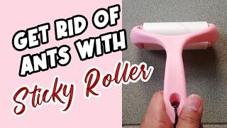 Get Rid of Ants with Sticky Roller