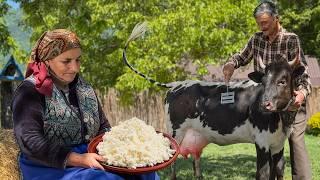 How to Make Real Cottage Cheese from Fresh Cow's Milk – Secret Village Recipe!