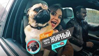 Chubaka Vlog! Говорят, что ты жирный...