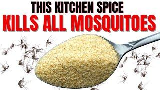 KILL Every Mosquito In Your Whole Yard | GUARANTEED SAFE METHOD