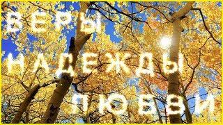 Дарю осень - обыкновенное чудо! Позитив  от Happy Зая