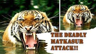 A survivor's story of a horrific tiger attack