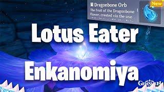 Lotus Eater Hidden quest  | Enkanomiya | Genshin impact