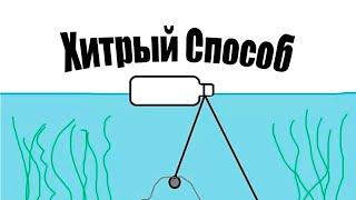 Как быстро узнать есть ли рыба в водоеме?