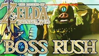 BOSS-RUSH: ALLE HINOX! ZELDA BREATH OF THE WILD Part 80 [Deutsch/Switch]