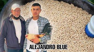 El Cuido - Alejandro Blue