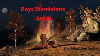 Dayz Standalone -ASMR- Cozy campfire/ wind sounds/ zombie noises (spooky)