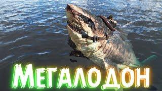 ARK: Survival Evolved Приручение Мегалодона ! Зарядка криокапсул ! Жаба для оглушения в АРК #34