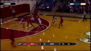 NJIT at St. Francis Brooklyn Men's Basketball Highlights