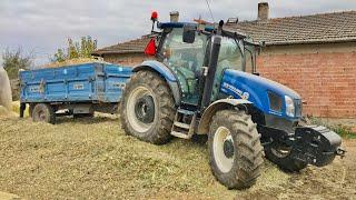 MISIRLARI SİLAJ YAPIYORUZ | CASE JX110 vs NEW HOLLAND TR6.120