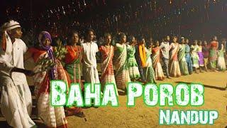 Sagun Baha Bonga || Baha Porob Nandup 2022 || New ho Munda video 2022 | New ho video Diggi official