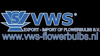 VWS Flowerbulbs - Company movie