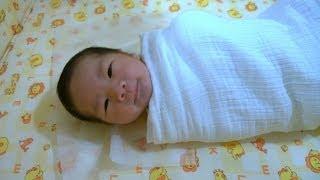 The Amazing Journey (Pregnancy Time Lapse)