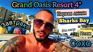 Египет  Grand Oasis Resort 4* Сохо  Sharks Bay Заселение Номер Завтрак Территория Пляж