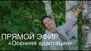 Прямой эфир "Осенняя адаптация"
