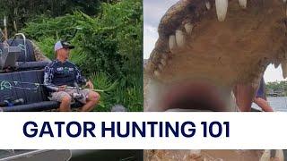 Florida's 2022 alligator hunting season begins