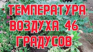 ТЕМПЕРАТУРА ВОЗДУХА 46 ГРАДУСОВ по ЦЕЛЬСИЮ