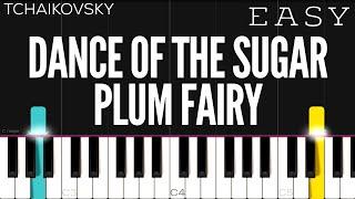 Tchaikovsky - Dance of the Sugar Plum Fairy | EASY Piano Tutorial