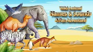 Wild Animal Names & Sounds: A Fun Adventure!