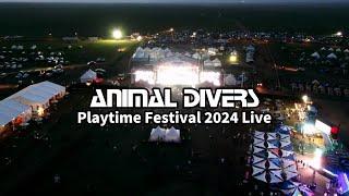 Animal Divers Live - Playtime Festival 2024