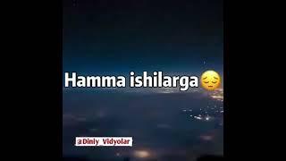 diniy video