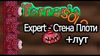 Terraria 1.3 - Expert - Стена Плоти (+лут) (Соло)