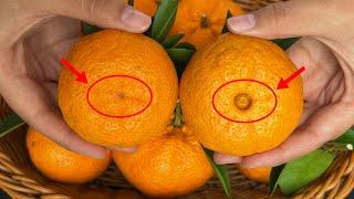 Choose oranges,tasty,Have a look,You know this location ， Life Hacks， tips ，delicious