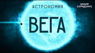 Вега. Астрономия #вега #астрономия #звёзды #Весталия #школаСорадение