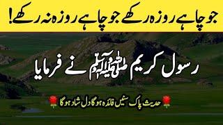 Hadees nabvi || Hadees shareef || Sahih bukhari in Urdu