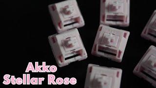 Akko Stellar Rose: One Clacky Budget Switch! (Full Review and Soundtest)