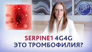 Serpine-1 4G 4G - это тромбофилия? Врач акушер-гинеколог ЦИР Анна Игоревна Дрожжина.