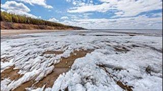 Бердск. Прогулка по побережью Обского моря. Весна, тает последний лёд . 30 апреля 2024.