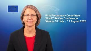 The Treaty on the Non-Proliferation of Nuclear Weapons (NPT) 2023 review