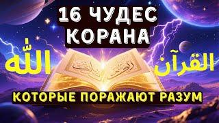 16 удивительных чудес Корана, подтвержденных наукой!
