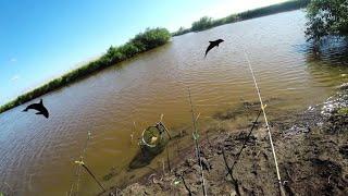 В тех местах давно не было людей. Дикая Сибирь с реками полными рыбы.