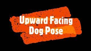 Upward Facing Dog Pose