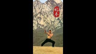 #Martial Arts Dragon Fist Snake Fist# Feel the charm of Chinese martial arts #One minute on stage t