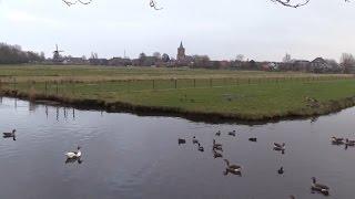 Zomaar een zondagwandeling in Bunschoten